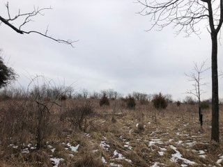 Preble County, Ohio Farmland - *** BIDDING WILL BE VIA PHONE OR INTERNET *** LAND AUCTION - 68+/- ACRES OFFERED IN 2 TRACTS IN PREBLE COUNTY, OHIO