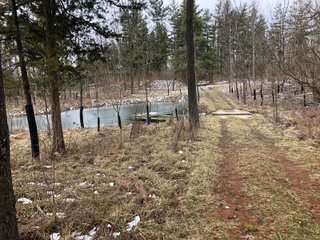 Pond in Preble County, Ohio - *** BIDDING WILL BE VIA PHONE OR INTERNET *** LAND AUCTION - 68+/- ACRES OFFERED IN 2 TRACTS IN PREBLE COUNTY, OHIO