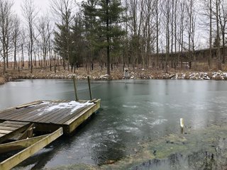 Pond in Preble County, Ohio - *** BIDDING WILL BE VIA PHONE OR INTERNET *** LAND AUCTION - 68+/- ACRES OFFERED IN 2 TRACTS IN PREBLE COUNTY, OHIO
