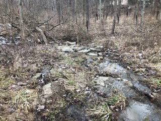 Pond in Preble County, Ohio - *** BIDDING WILL BE VIA PHONE OR INTERNET *** LAND AUCTION - 68+/- ACRES OFFERED IN 2 TRACTS IN PREBLE COUNTY, OHIO
