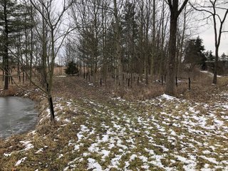Pond in Preble County, Ohio - *** BIDDING WILL BE VIA PHONE OR INTERNET *** LAND AUCTION - 68+/- ACRES OFFERED IN 2 TRACTS IN PREBLE COUNTY, OHIO