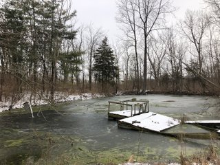 Pond in Preble County, Ohio - *** BIDDING WILL BE VIA PHONE OR INTERNET *** LAND AUCTION - 68+/- ACRES OFFERED IN 2 TRACTS IN PREBLE COUNTY, OHIO