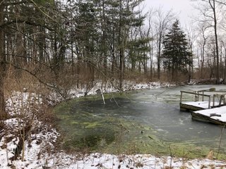 Pond in Preble County, Ohio - *** BIDDING WILL BE VIA PHONE OR INTERNET *** LAND AUCTION - 68+/- ACRES OFFERED IN 2 TRACTS IN PREBLE COUNTY, OHIO