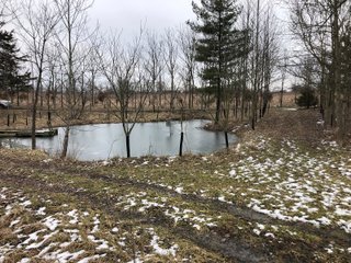 Pond in Preble County, Ohio - *** BIDDING WILL BE VIA PHONE OR INTERNET *** LAND AUCTION - 68+/- ACRES OFFERED IN 2 TRACTS IN PREBLE COUNTY, OHIO