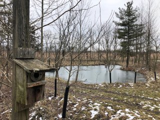 Pond in Preble County, Ohio - *** BIDDING WILL BE VIA PHONE OR INTERNET *** LAND AUCTION - 68+/- ACRES OFFERED IN 2 TRACTS IN PREBLE COUNTY, OHIO