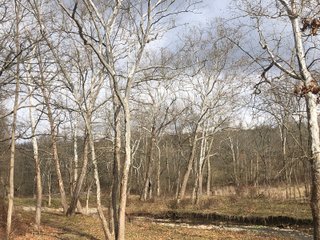 Franklin County, Indiana farmland - IMPORTANT LAND AUCTION - 250+/- ACRES OFFERED IN 10 TRACTS IN FRANKLIN COUNTY, INDIANA  NEW DATE: WEDNESDAY, JUNE 10TH AT 6PM