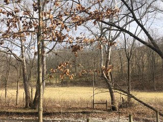 Franklin County, Indiana farmland - IMPORTANT LAND AUCTION - 250+/- ACRES OFFERED IN 10 TRACTS IN FRANKLIN COUNTY, INDIANA  NEW DATE: WEDNESDAY, JUNE 10TH AT 6PM