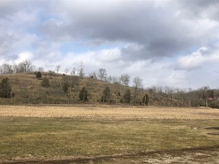 Franklin County, Indiana farmland - IMPORTANT LAND AUCTION - 250+/- ACRES OFFERED IN 10 TRACTS IN FRANKLIN COUNTY, INDIANA  NEW DATE: WEDNESDAY, JUNE 10TH AT 6PM