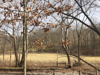 Franklin County, Indiana farmland - IMPORTANT LAND AUCTION - 250+/- ACRES OFFERED IN 10 TRACTS IN FRANKLIN COUNTY, INDIANA  NEW DATE: WEDNESDAY, JUNE 10TH AT 6PM