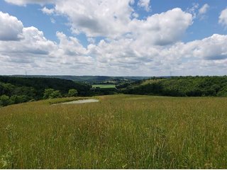 Franklin County, Indiana farmland - IMPORTANT LAND AUCTION - 250+/- ACRES OFFERED IN 10 TRACTS IN FRANKLIN COUNTY, INDIANA  NEW DATE: WEDNESDAY, JUNE 10TH AT 6PM