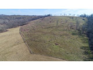 Franklin County, Indiana farmland - IMPORTANT LAND AUCTION - 250+/- ACRES OFFERED IN 10 TRACTS IN FRANKLIN COUNTY, INDIANA  NEW DATE: WEDNESDAY, JUNE 10TH AT 6PM