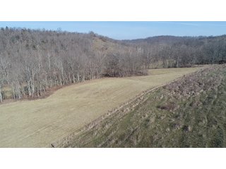 Franklin County, Indiana farmland - IMPORTANT LAND AUCTION - 250+/- ACRES OFFERED IN 10 TRACTS IN FRANKLIN COUNTY, INDIANA  NEW DATE: WEDNESDAY, JUNE 10TH AT 6PM