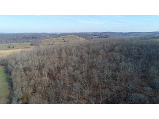Franklin County, Indiana farmland - IMPORTANT LAND AUCTION - 250+/- ACRES OFFERED IN 10 TRACTS IN FRANKLIN COUNTY, INDIANA  NEW DATE: WEDNESDAY, JUNE 10TH AT 6PM