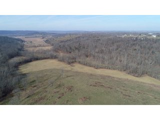 Franklin County, Indiana farmland - IMPORTANT LAND AUCTION - 250+/- ACRES OFFERED IN 10 TRACTS IN FRANKLIN COUNTY, INDIANA  NEW DATE: WEDNESDAY, JUNE 10TH AT 6PM