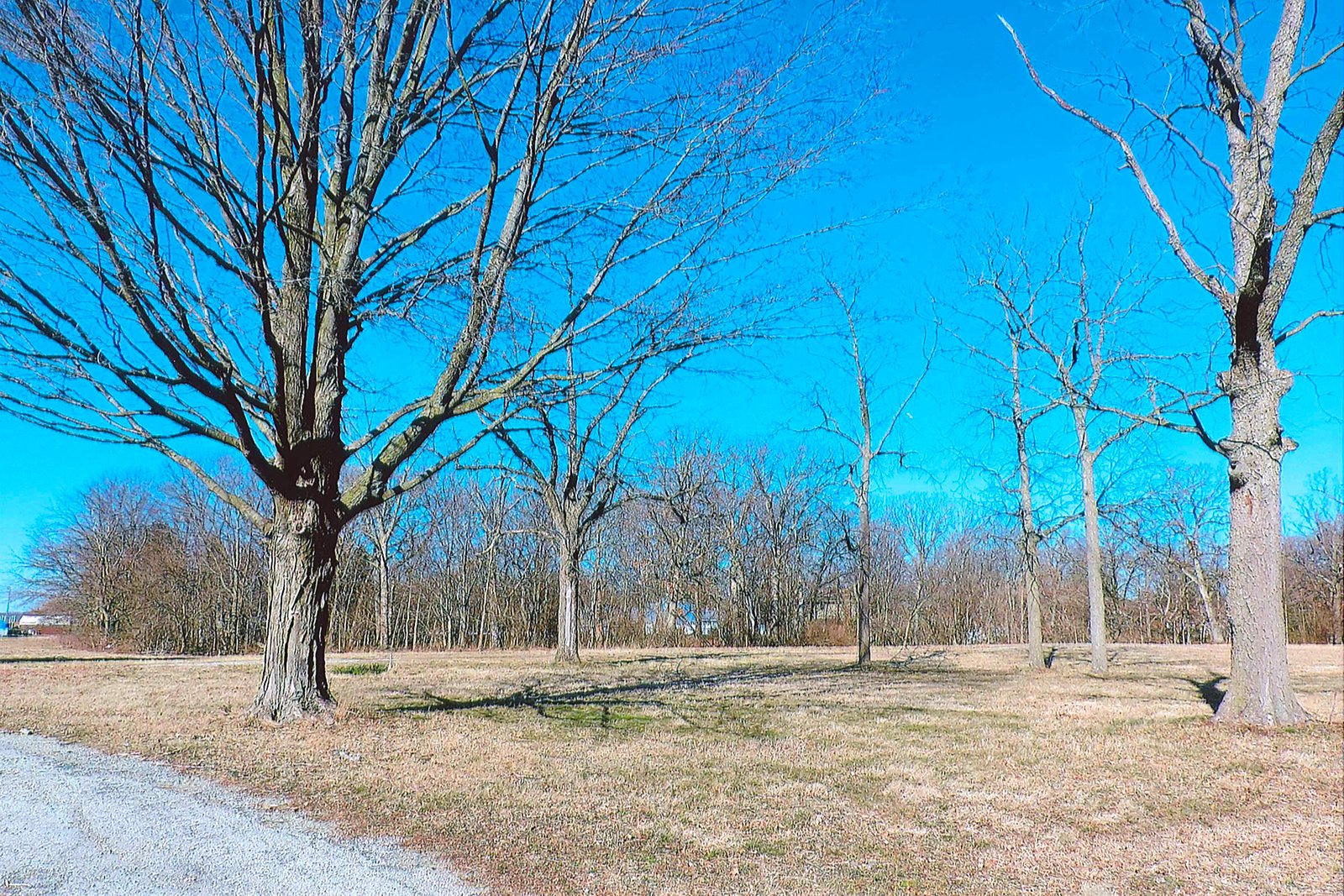 White County, Indiana Land - *** BIDDING WILL BE VIA PHONE OR INTERNET *** LAND AUCTION - 14.803+/- ACRES IN 1 TRACT IN WHITE COUNTY, INDIANA