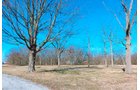 White County, Indiana Land - *** BIDDING WILL BE VIA PHONE OR INTERNET *** LAND AUCTION - 14.803+/- ACRES IN 1 TRACT IN WHITE COUNTY, INDIANA