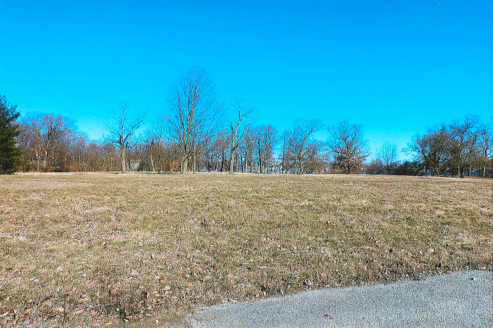 White County, Indiana Land - *** BIDDING WILL BE VIA PHONE OR INTERNET *** LAND AUCTION - 14.803+/- ACRES IN 1 TRACT IN WHITE COUNTY, INDIANA