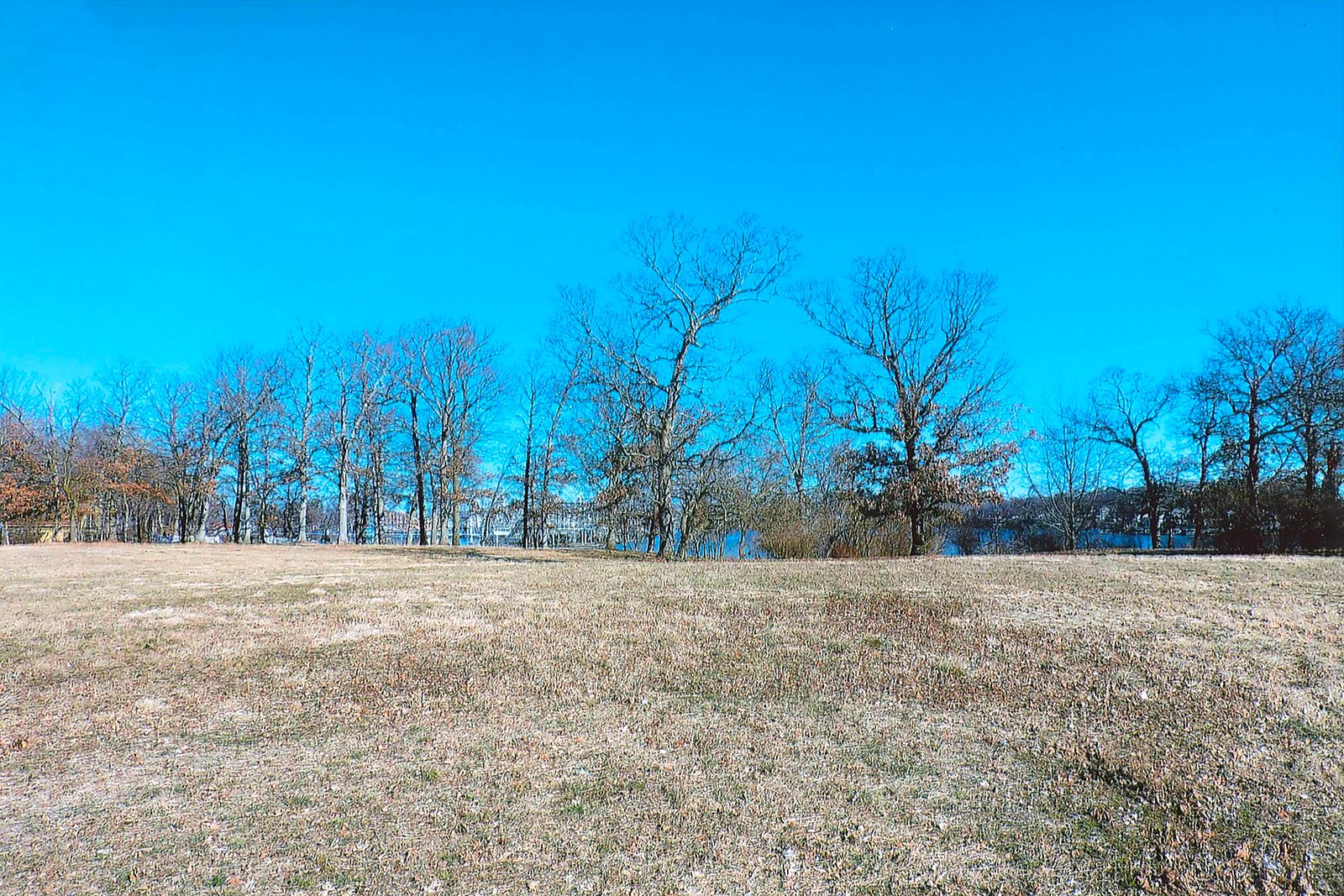 White County, Indiana Land - *** BIDDING WILL BE VIA PHONE OR INTERNET *** LAND AUCTION - 14.803+/- ACRES IN 1 TRACT IN WHITE COUNTY, INDIANA