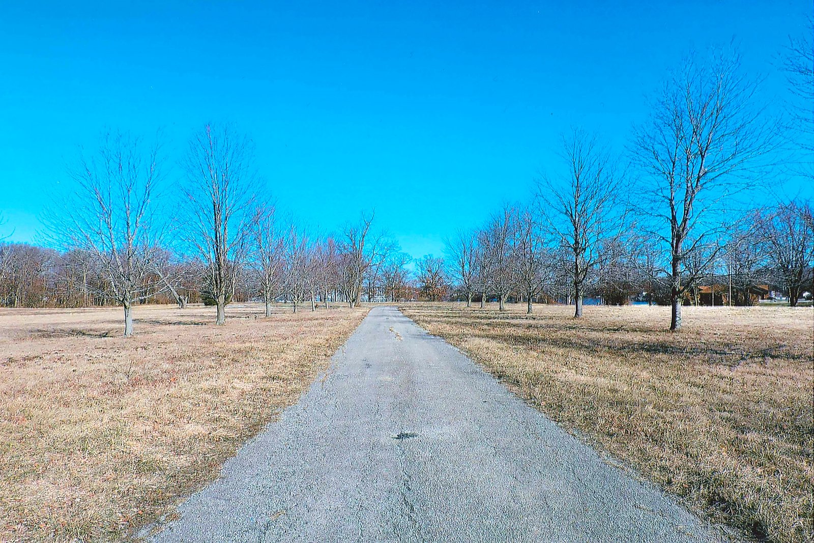 White County, Indiana Land - *** BIDDING WILL BE VIA PHONE OR INTERNET *** LAND AUCTION - 14.803+/- ACRES IN 1 TRACT IN WHITE COUNTY, INDIANA