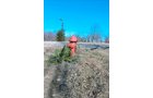White County, Indiana Land - *** BIDDING WILL BE VIA PHONE OR INTERNET *** LAND AUCTION - 14.803+/- ACRES IN 1 TRACT IN WHITE COUNTY, INDIANA