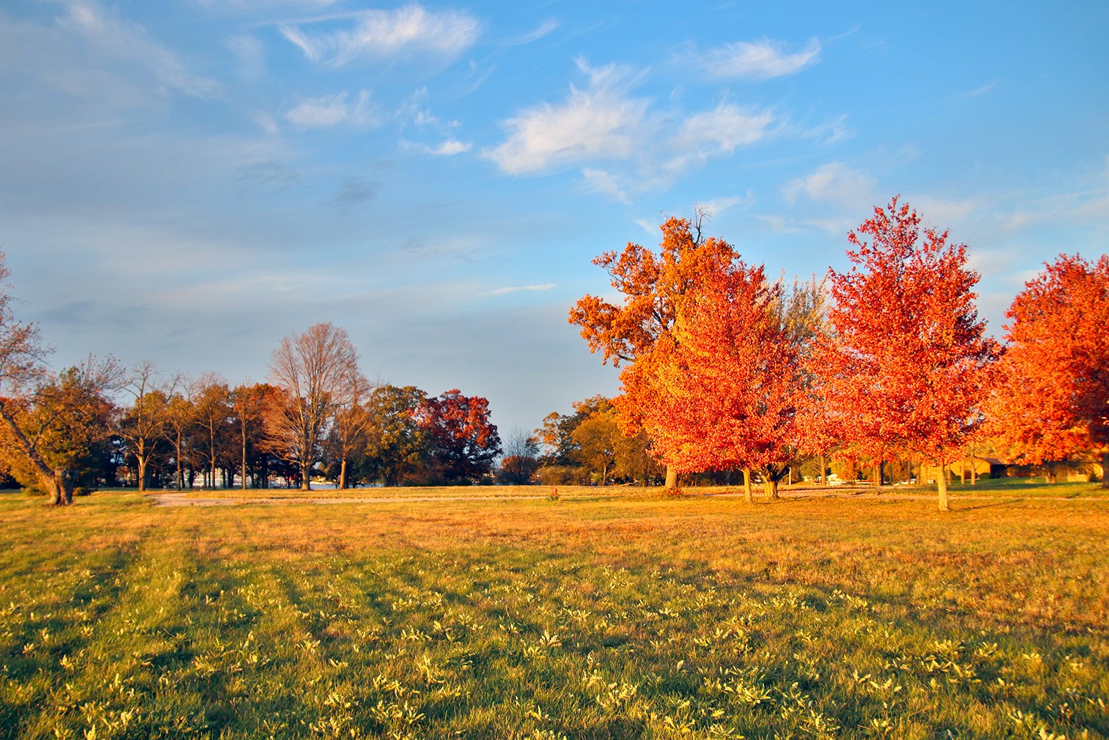 White County, Indiana Land - *** BIDDING WILL BE VIA PHONE OR INTERNET *** LAND AUCTION - 14.803+/- ACRES IN 1 TRACT IN WHITE COUNTY, INDIANA