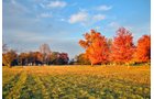 White County, Indiana Land - *** BIDDING WILL BE VIA PHONE OR INTERNET *** LAND AUCTION - 14.803+/- ACRES IN 1 TRACT IN WHITE COUNTY, INDIANA