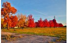 White County, Indiana Land - *** BIDDING WILL BE VIA PHONE OR INTERNET *** LAND AUCTION - 14.803+/- ACRES IN 1 TRACT IN WHITE COUNTY, INDIANA
