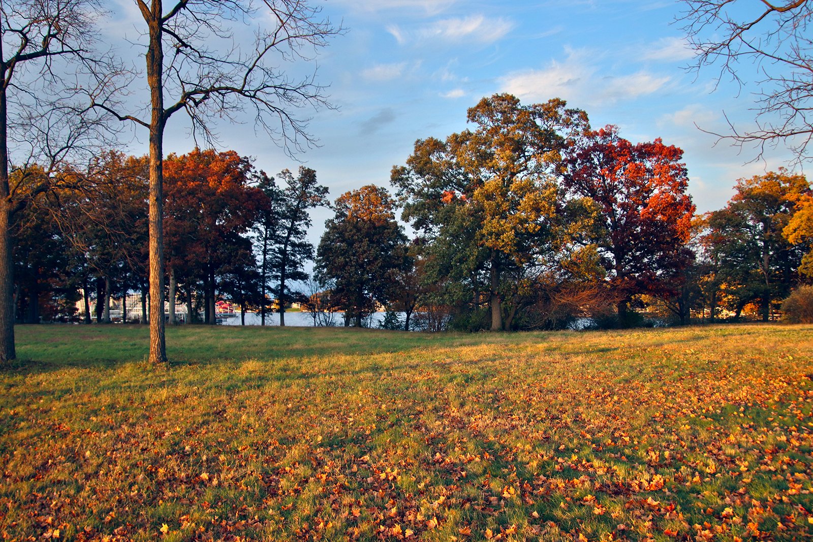 White County, Indiana Land - *** BIDDING WILL BE VIA PHONE OR INTERNET *** LAND AUCTION - 14.803+/- ACRES IN 1 TRACT IN WHITE COUNTY, INDIANA