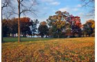 White County, Indiana Land - *** BIDDING WILL BE VIA PHONE OR INTERNET *** LAND AUCTION - 14.803+/- ACRES IN 1 TRACT IN WHITE COUNTY, INDIANA
