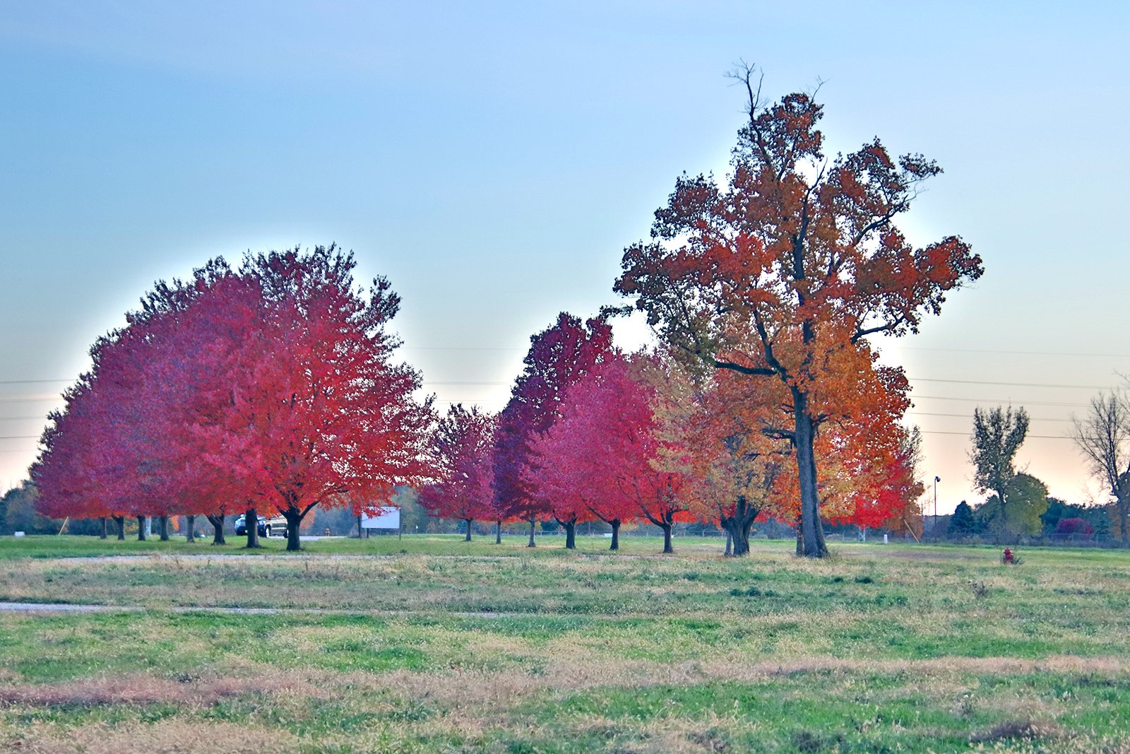 White County, Indiana Land - *** BIDDING WILL BE VIA PHONE OR INTERNET *** LAND AUCTION - 14.803+/- ACRES IN 1 TRACT IN WHITE COUNTY, INDIANA