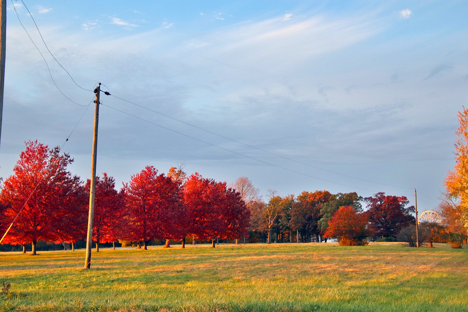 White County, Indiana Land - *** BIDDING WILL BE VIA PHONE OR INTERNET *** LAND AUCTION - 14.803+/- ACRES IN 1 TRACT IN WHITE COUNTY, INDIANA