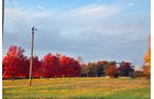 White County, Indiana Land - *** BIDDING WILL BE VIA PHONE OR INTERNET *** LAND AUCTION - 14.803+/- ACRES IN 1 TRACT IN WHITE COUNTY, INDIANA