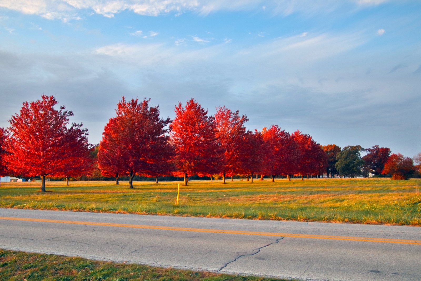 White County, Indiana Land - *** BIDDING WILL BE VIA PHONE OR INTERNET *** LAND AUCTION - 14.803+/- ACRES IN 1 TRACT IN WHITE COUNTY, INDIANA