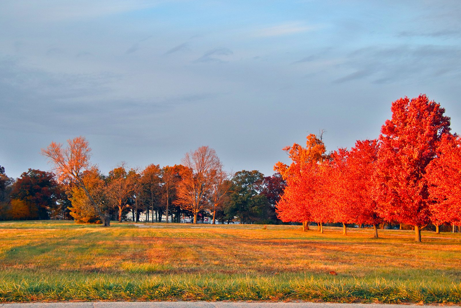 White County, Indiana Land - *** BIDDING WILL BE VIA PHONE OR INTERNET *** LAND AUCTION - 14.803+/- ACRES IN 1 TRACT IN WHITE COUNTY, INDIANA