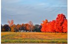 White County, Indiana Land - *** BIDDING WILL BE VIA PHONE OR INTERNET *** LAND AUCTION - 14.803+/- ACRES IN 1 TRACT IN WHITE COUNTY, INDIANA
