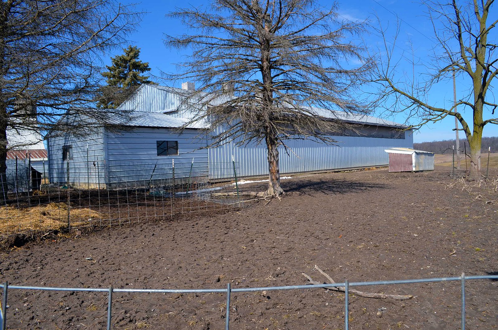 Barn in Lenawee County, Michigan - ** AUCTION HAS BEEN POSTPONED *** FARM AUCTION - 85+/- ACRES OFFERED IN 4 TRACTS IN LENAWEE COUNTY, MICHIGAN