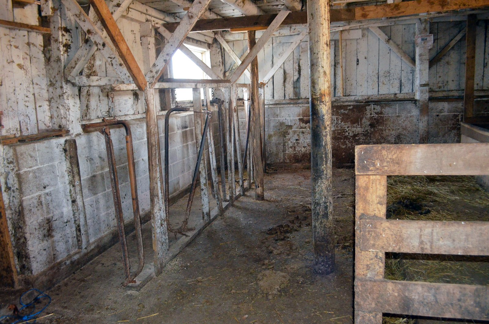 Inside Barn in Lenawee County, Michigan - ** AUCTION HAS BEEN POSTPONED *** FARM AUCTION - 85+/- ACRES OFFERED IN 4 TRACTS IN LENAWEE COUNTY, MICHIGAN