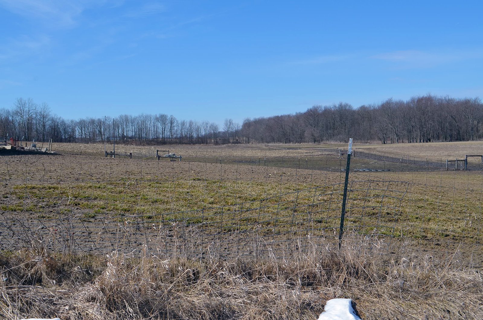 Lenawee County, Michigan Farmland - ** AUCTION HAS BEEN POSTPONED *** FARM AUCTION - 85+/- ACRES OFFERED IN 4 TRACTS IN LENAWEE COUNTY, MICHIGAN