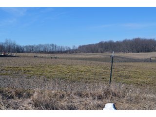 Lenawee County, Michigan Farmland - ** AUCTION HAS BEEN POSTPONED *** FARM AUCTION - 85+/- ACRES OFFERED IN 4 TRACTS IN LENAWEE COUNTY, MICHIGAN