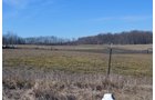Lenawee County, Michigan Farmland - ** AUCTION HAS BEEN POSTPONED *** FARM AUCTION - 85+/- ACRES OFFERED IN 4 TRACTS IN LENAWEE COUNTY, MICHIGAN