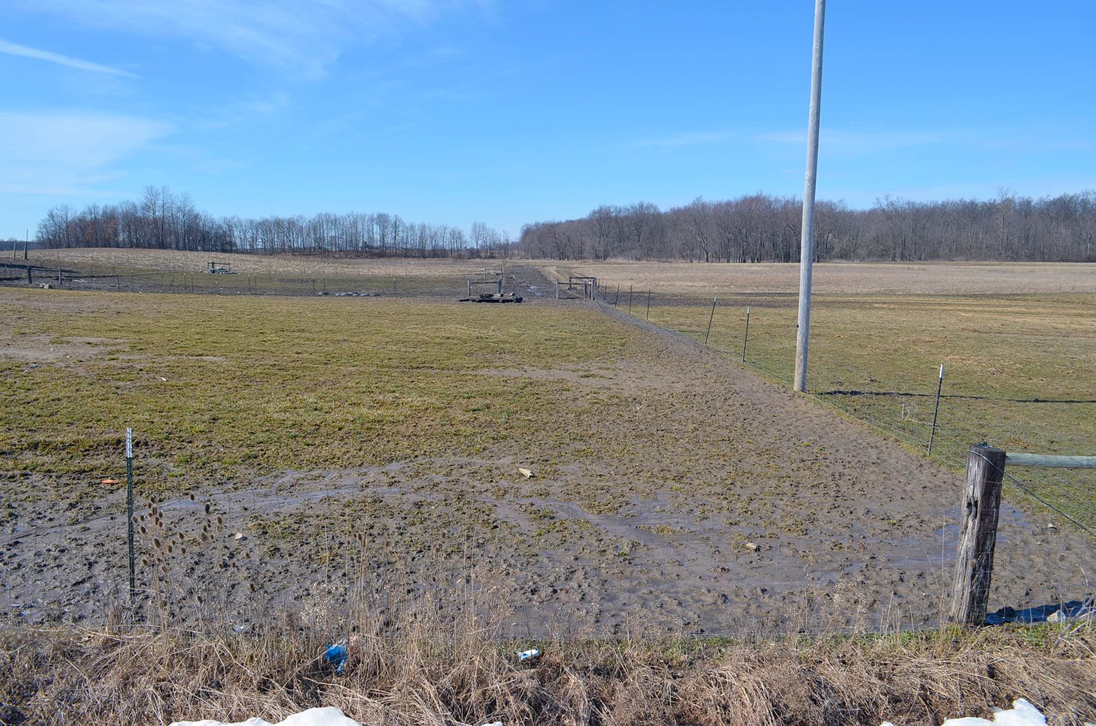 Lenawee County, Michigan Farmland - ** AUCTION HAS BEEN POSTPONED *** FARM AUCTION - 85+/- ACRES OFFERED IN 4 TRACTS IN LENAWEE COUNTY, MICHIGAN