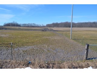Lenawee County, Michigan Farmland - ** AUCTION HAS BEEN POSTPONED *** FARM AUCTION - 85+/- ACRES OFFERED IN 4 TRACTS IN LENAWEE COUNTY, MICHIGAN