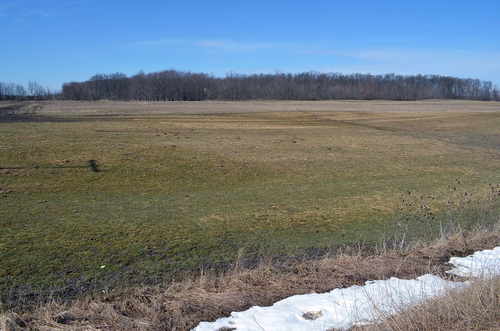 Lenawee County, Michigan Farmland - ** AUCTION HAS BEEN POSTPONED *** FARM AUCTION - 85+/- ACRES OFFERED IN 4 TRACTS IN LENAWEE COUNTY, MICHIGAN