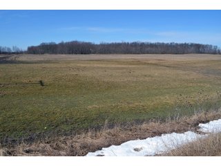 Lenawee County, Michigan Farmland - ** AUCTION HAS BEEN POSTPONED *** FARM AUCTION - 85+/- ACRES OFFERED IN 4 TRACTS IN LENAWEE COUNTY, MICHIGAN