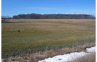 Lenawee County, Michigan Farmland - ** AUCTION HAS BEEN POSTPONED *** FARM AUCTION - 85+/- ACRES OFFERED IN 4 TRACTS IN LENAWEE COUNTY, MICHIGAN