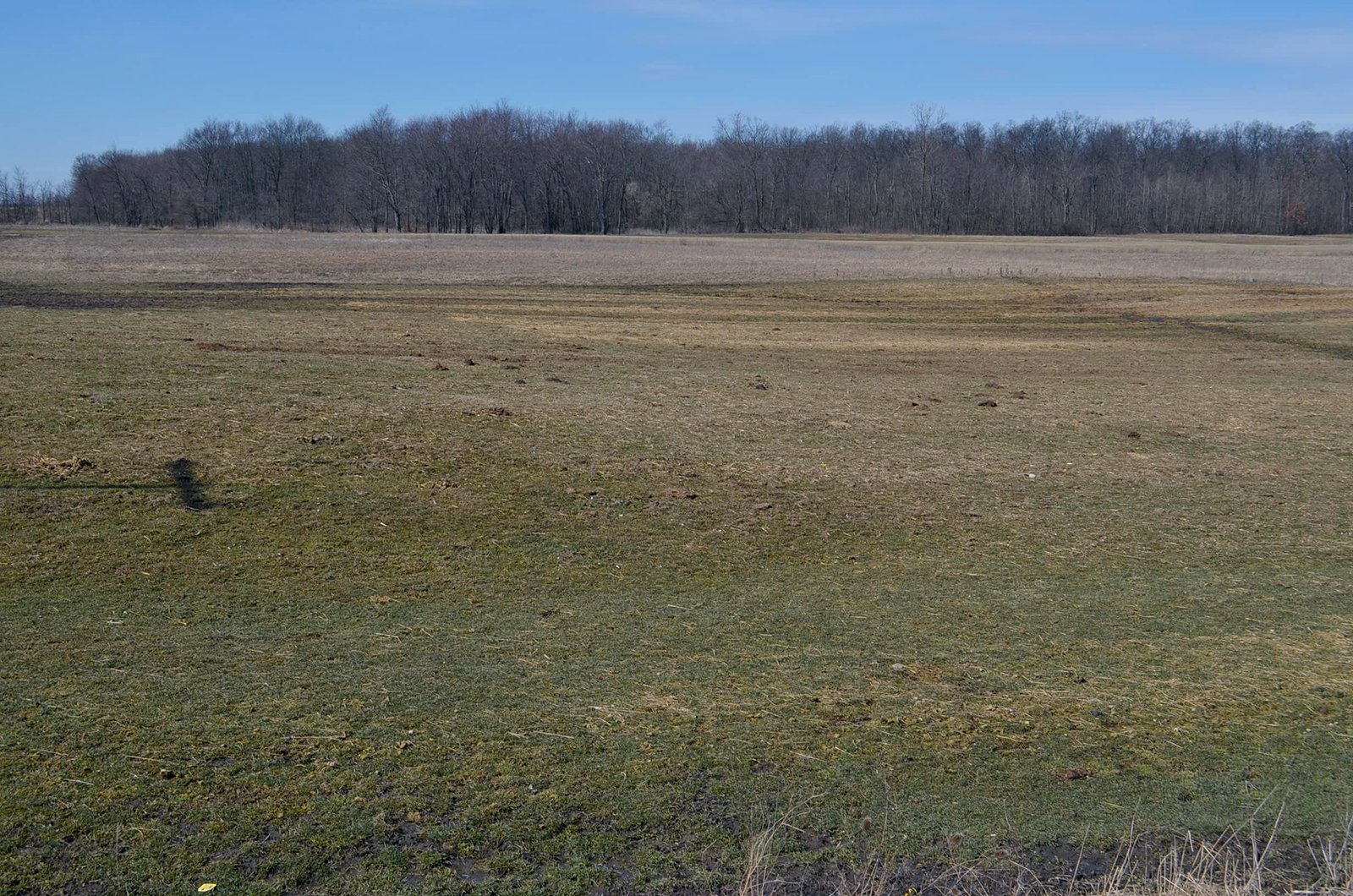 Lenawee County, Michigan Farmland - ** AUCTION HAS BEEN POSTPONED *** FARM AUCTION - 85+/- ACRES OFFERED IN 4 TRACTS IN LENAWEE COUNTY, MICHIGAN