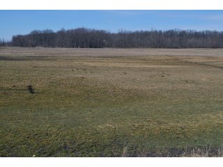 Lenawee County, Michigan Farmland - ** AUCTION HAS BEEN POSTPONED *** FARM AUCTION - 85+/- ACRES OFFERED IN 4 TRACTS IN LENAWEE COUNTY, MICHIGAN