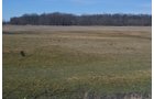 Lenawee County, Michigan Farmland - ** AUCTION HAS BEEN POSTPONED *** FARM AUCTION - 85+/- ACRES OFFERED IN 4 TRACTS IN LENAWEE COUNTY, MICHIGAN