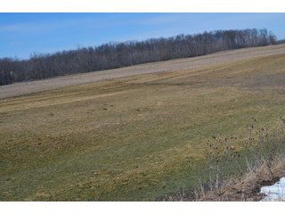 Lenawee County, Michigan Farmland - ** AUCTION HAS BEEN POSTPONED *** FARM AUCTION - 85+/- ACRES OFFERED IN 4 TRACTS IN LENAWEE COUNTY, MICHIGAN