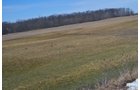 Lenawee County, Michigan Farmland - ** AUCTION HAS BEEN POSTPONED *** FARM AUCTION - 85+/- ACRES OFFERED IN 4 TRACTS IN LENAWEE COUNTY, MICHIGAN